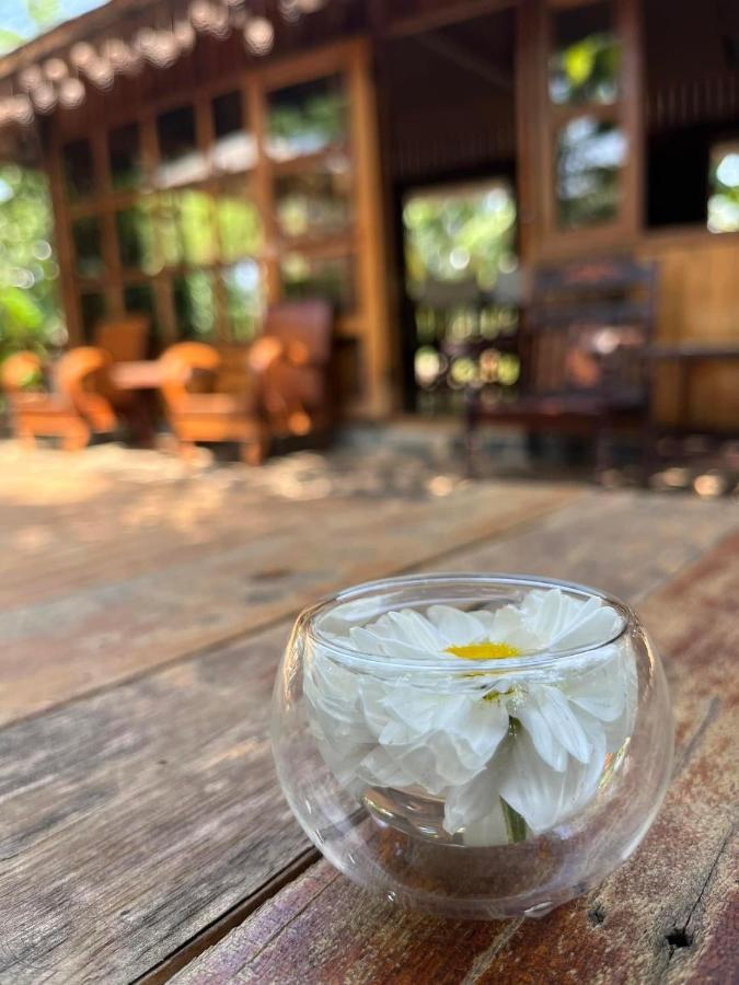 Moc An Nhien Farmstay Pleiku Exteriér fotografie